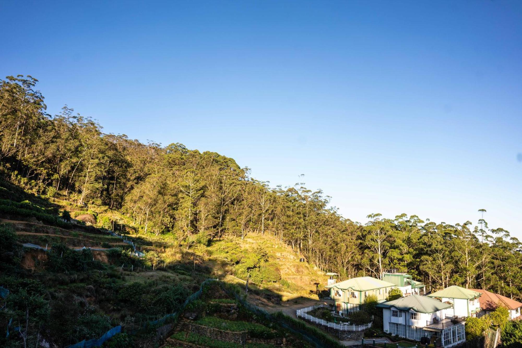 Forest View Lodge Nuwara Eliya Esterno foto